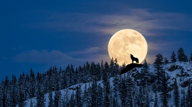 Nombres de la luna llena según la estación y su origen tradicional