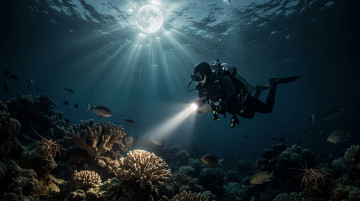 Cómo influyen las fases de la luna en la seguridad del buceo nocturno y la exploración submarina