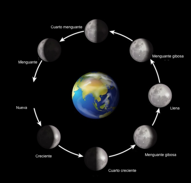 moon phases
