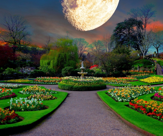 ¿Cómo afecta la luna la jardinería? - mitos y consejos