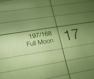 What is the lunar calendar for? 